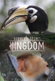 Borneo's Secret Kingdom series tv