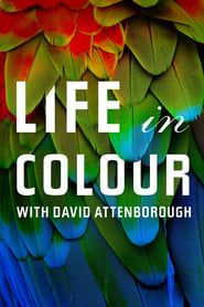 Attenborough's Life in Colour series tv