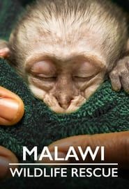 Malawi Wildlife Rescue series tv