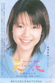 天花 (2004)
