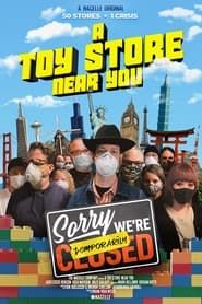 A Toy Store Near You series tv