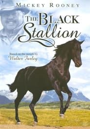 The Adventures of the Black Stallion series tv