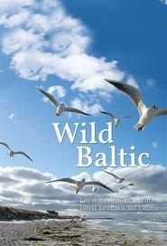 Wild Baltic</b> saison 01 