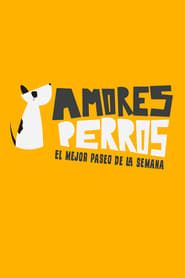 Amores perros</b> saison 001 
