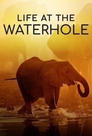 Life at the Waterhole</b> saison 01 
