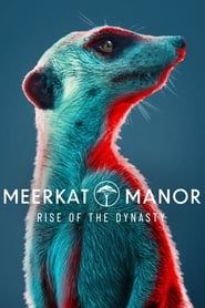 Meerkat Manor: Rise of the Dynasty (2021)