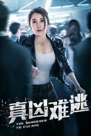 真凶难逃 (2013)