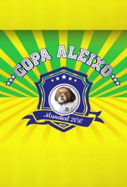 Copa Aleixo 2010 series tv