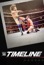 WWE Timeline series tv