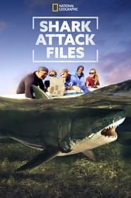 Shark Attack Files</b> saison 01 