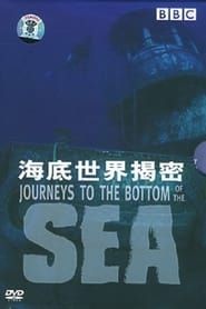 Image Journeys to the Bottom of the Sea