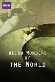 Weird Wonders of the World</b> saison 01 