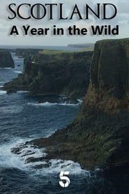 Scotland: A Year In The Wild series tv