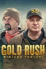 Gold Rush: Winter's Fortune series tv