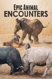 Epic Animal Encounters series tv