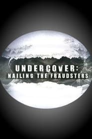 Undercover: Nailing the Fraudsters</b> saison 01 
