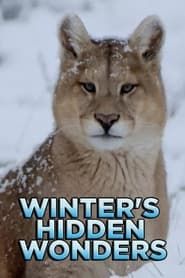 Winter's Hidden Wonders series tv