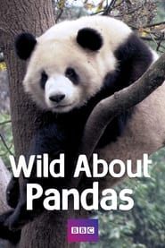 Wild About Pandas series tv