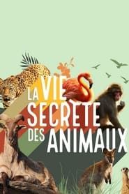 La vie secrète des animaux</b> saison 01 