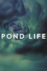 Pond Life 2012</b> saison 01 