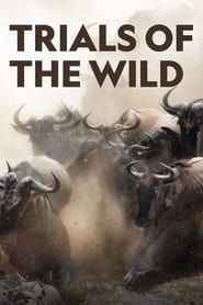 Trials of the Wild series tv