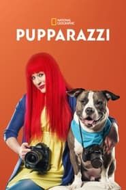 Pupparazzi</b> saison 01 