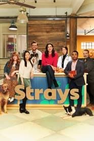 Strays series tv