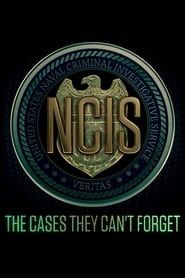 The Cases They Can't Forget series tv