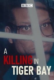A Killing in Tiger Bay series tv