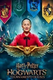 Harry Potter: Hogwarts Tournament of Houses series tv