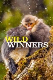 Wild Winners series tv