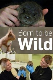 Born to Be Wild series tv