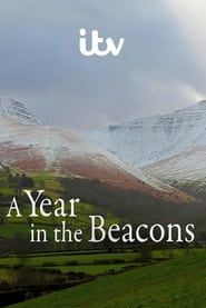 Image A Year in the Beacons