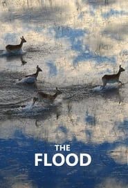 The Flood series tv