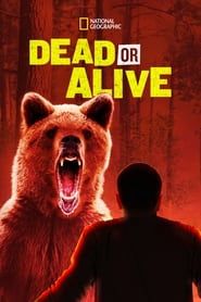 Dead or Alive</b> saison 01 