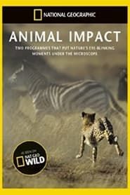 Animal Impact</b> saison 01 