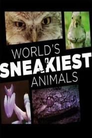 World's Sneakiest Animals series tv