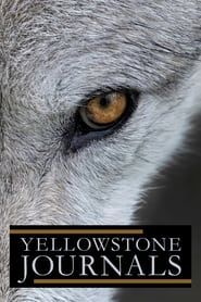 Yellowstone Journals</b> saison 01 