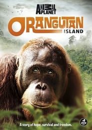Orangutan Island series tv