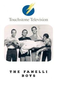 The Fanelli Boys series tv