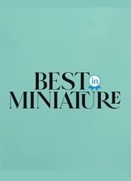 Best In Miniature</b> saison 01 