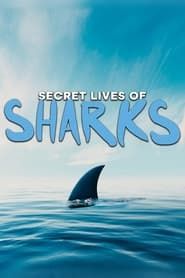 The Secret Lives of Sharks 2021</b> saison 01 