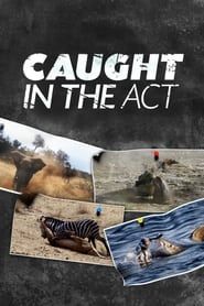 Caught in the Act series tv