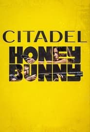 Citadel: Honey Bunny series tv