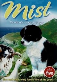Border Collie Sheepdogs – Off Duty! (2001)