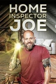 Home Inspector Joe series tv