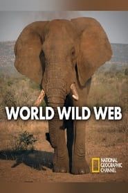 World Wild Web series tv