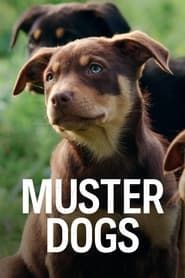 Muster Dogs series tv