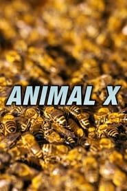 Animal X series tv
