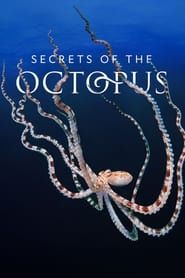 Secrets of the Octopus</b> saison 01 